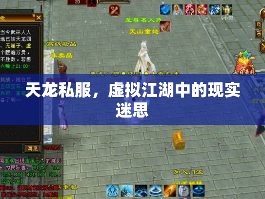 天龙私服，虚拟江湖中的现实迷思