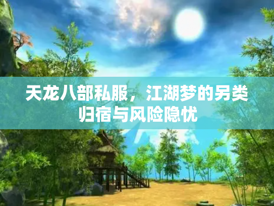 天龙八部私服，江湖梦的另类归宿与风险隐忧