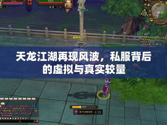 天龙江湖再现风波，私服背后的虚拟与真实较量