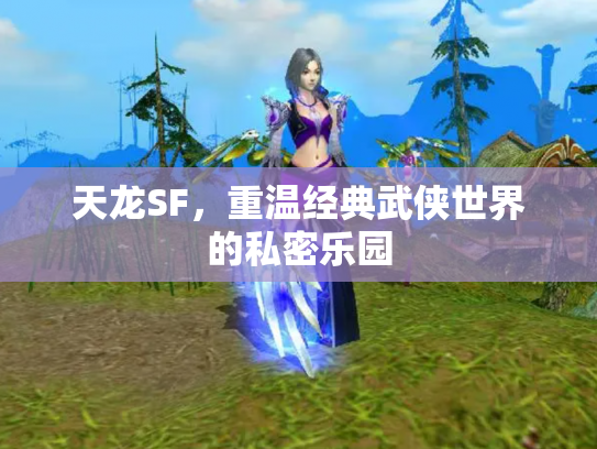天龙SF，重温经典武侠世界的私密乐园