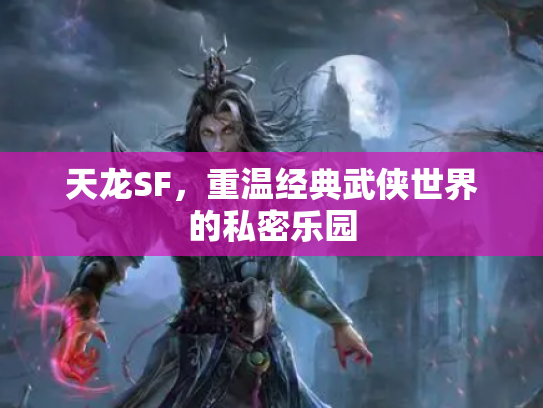天龙SF，重温经典武侠世界的私密乐园