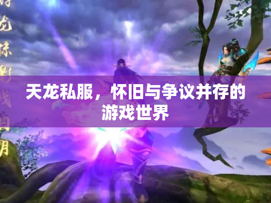 天龙私服，怀旧与争议并存的游戏世界