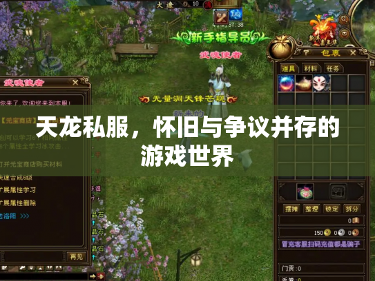 天龙私服，怀旧与争议并存的游戏世界