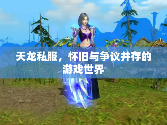 天龙私服，怀旧与争议并存的游戏世界