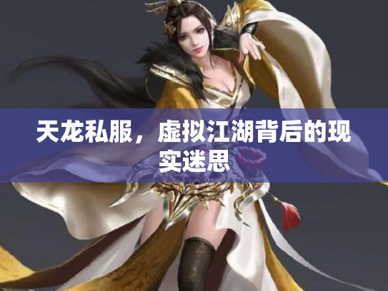 天龙私服，虚拟江湖背后的现实迷思