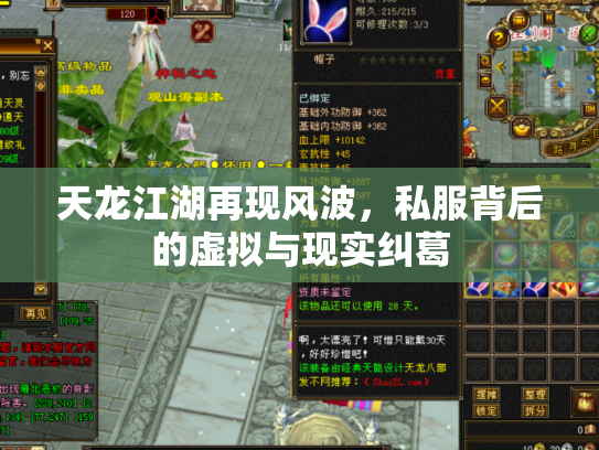 天龙江湖再现风波，私服背后的虚拟与现实纠葛