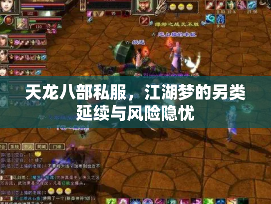 天龙八部私服，江湖梦的另类延续与风险隐忧