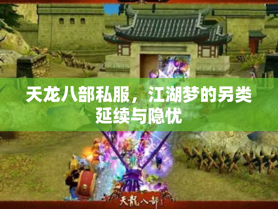 天龙八部私服，江湖梦的另类延续与隐忧