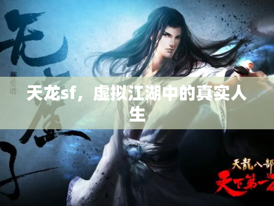 天龙sf，虚拟江湖中的真实人生