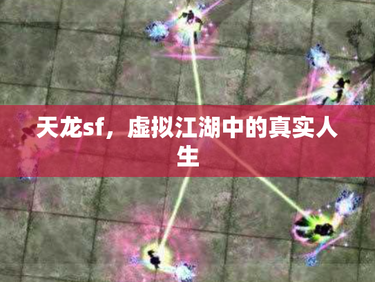 天龙sf，虚拟江湖中的真实人生