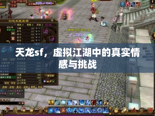 天龙sf，虚拟江湖中的真实情感与挑战