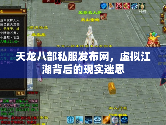 天龙八部私服发布网，虚拟江湖背后的现实迷思