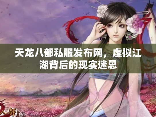 天龙八部私服发布网，虚拟江湖背后的现实迷思