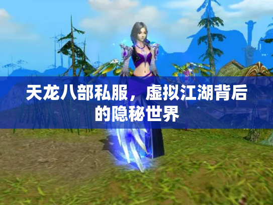 天龙八部私服，虚拟江湖背后的隐秘世界