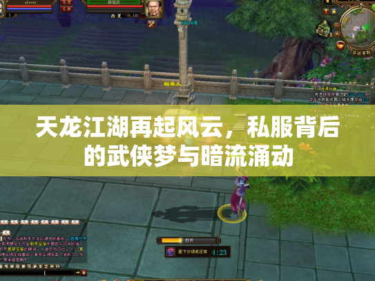 天龙江湖再起风云，私服背后的武侠梦与暗流涌动