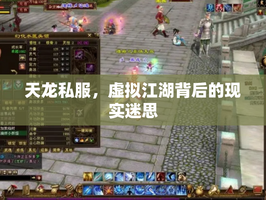 天龙私服，虚拟江湖背后的现实迷思
