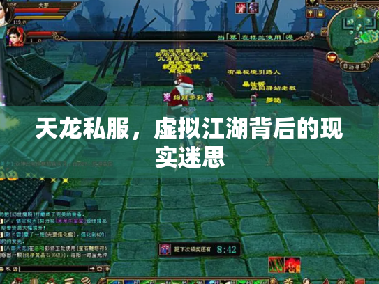天龙私服，虚拟江湖背后的现实迷思