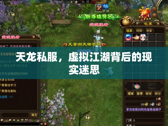 天龙私服，虚拟江湖背后的现实迷思