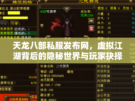 天龙八部私服发布网，虚拟江湖背后的隐秘世界与玩家抉择