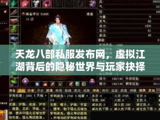 天龙八部私服发布网，虚拟江湖背后的隐秘世界与玩家抉择