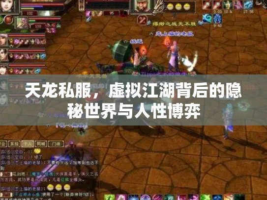 天龙私服，虚拟江湖背后的隐秘世界与人性博弈