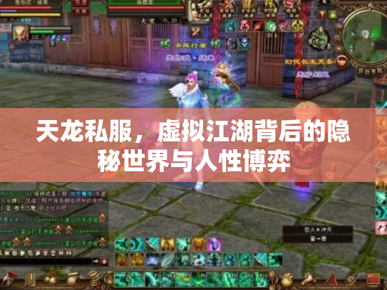 天龙私服，虚拟江湖背后的隐秘世界与人性博弈
