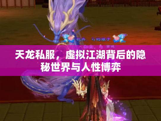 天龙私服，虚拟江湖背后的隐秘世界与人性博弈