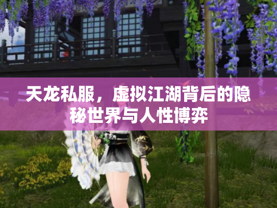 天龙私服，虚拟江湖背后的隐秘世界与人性博弈