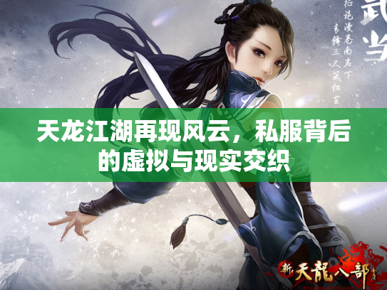 天龙江湖再现风云，私服背后的虚拟与现实交织