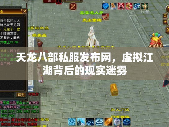 天龙八部私服发布网，虚拟江湖背后的现实迷雾
