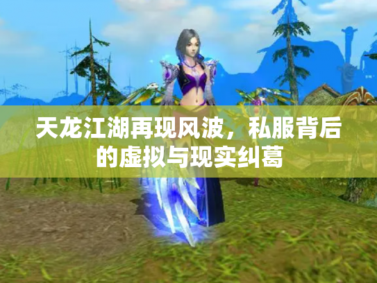 天龙江湖再现风波，私服背后的虚拟与现实纠葛