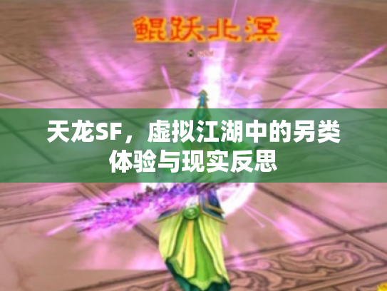 天龙SF，虚拟江湖中的另类体验与现实反思