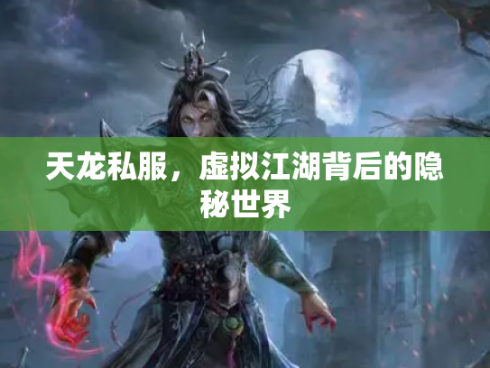 天龙私服，虚拟江湖背后的隐秘世界
