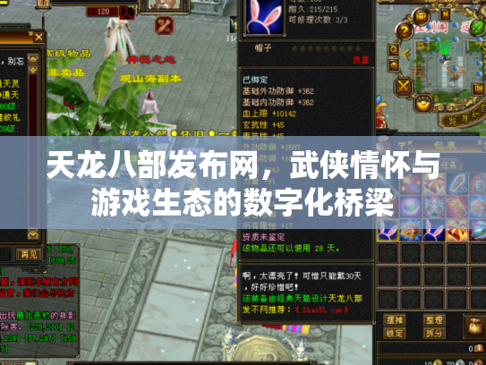 天龙八部发布网，武侠情怀与游戏生态的数字化桥梁