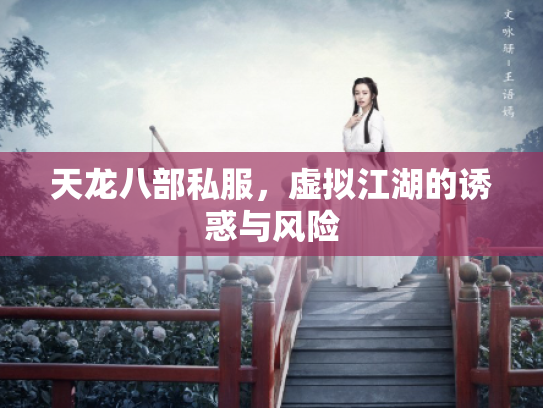 天龙八部私服，虚拟江湖的诱惑与风险