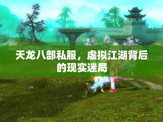 天龙八部私服，虚拟江湖背后的现实迷局