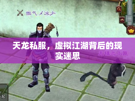 天龙私服，虚拟江湖背后的现实迷思