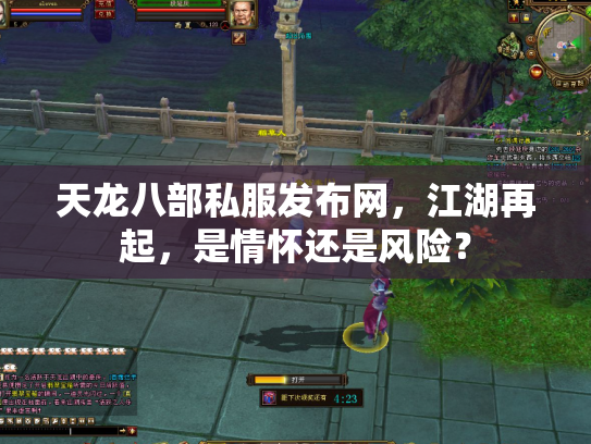 天龙八部私服发布网，江湖再起，是情怀还是风险？