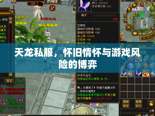 天龙私服，怀旧情怀与游戏风险的博弈