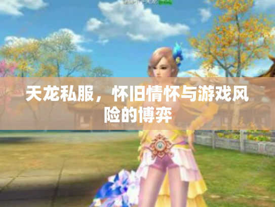 天龙私服，怀旧情怀与游戏风险的博弈