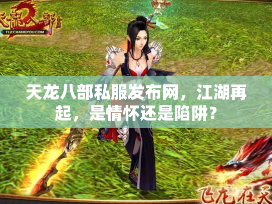 天龙八部私服发布网，江湖再起，是情怀还是陷阱？