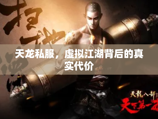 天龙私服，虚拟江湖背后的真实代价