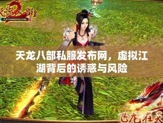 天龙八部私服发布网，虚拟江湖背后的诱惑与风险