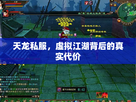 天龙私服，虚拟江湖背后的真实代价