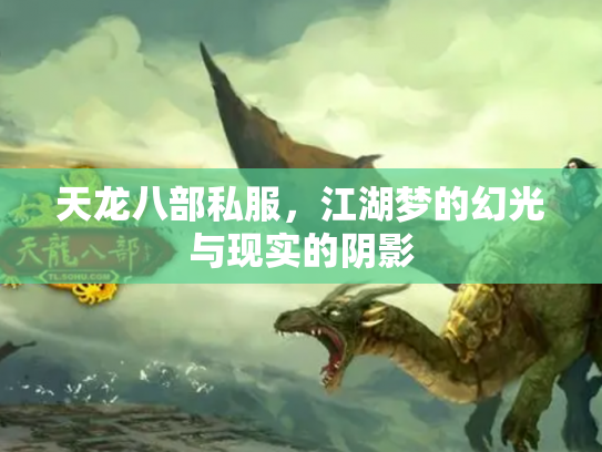 天龙八部私服，江湖梦的幻光与现实的阴影