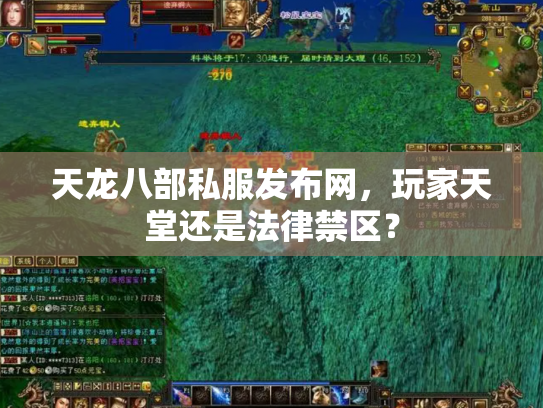 天龙八部私服发布网，玩家天堂还是法律禁区？