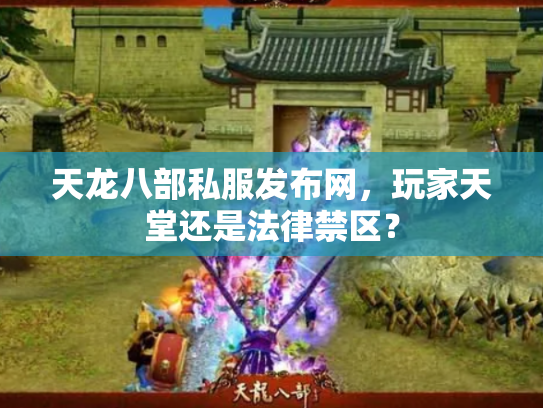 天龙八部私服发布网，玩家天堂还是法律禁区？