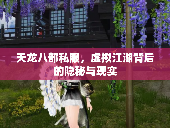 天龙八部私服，虚拟江湖背后的隐秘与现实