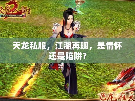 天龙私服，江湖再现，是情怀还是陷阱？