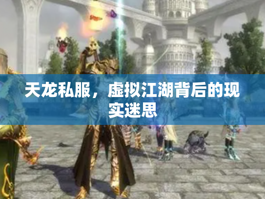 天龙私服，虚拟江湖背后的现实迷思